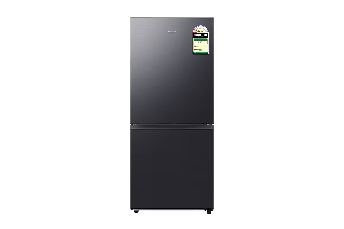 Samsung 458 L Double Door Refrigerator (RB45DG6005B1TL) view 2